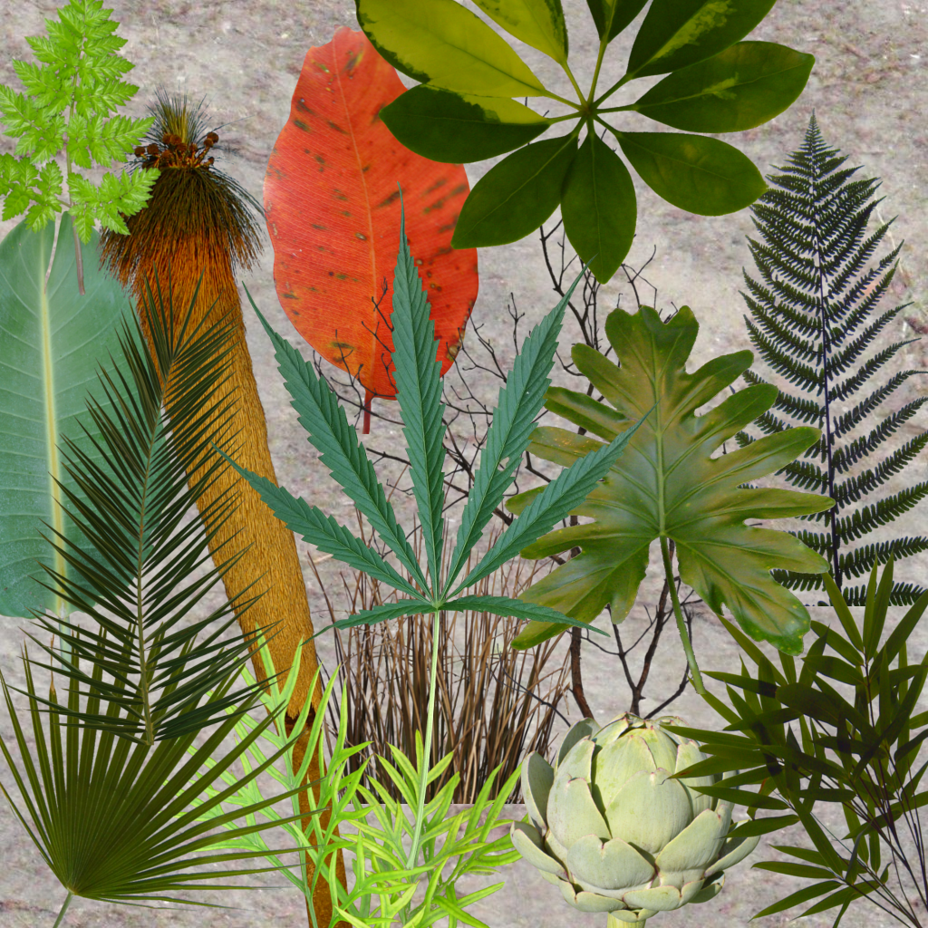 60 CC0 Vegetation textures